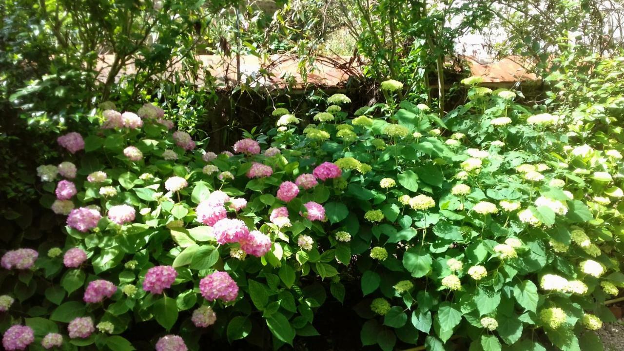 Bed and Breakfast Ombre Rose Le Fousseret Exterior foto