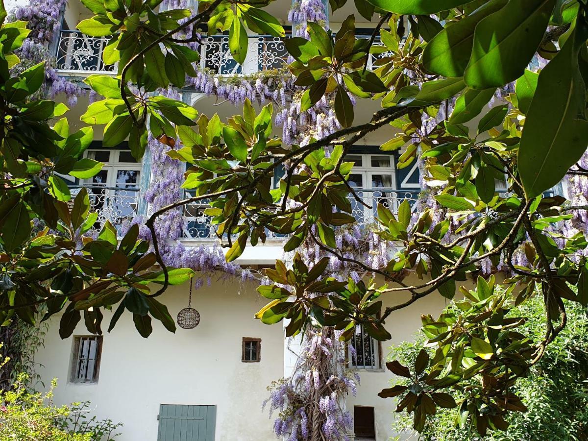 Bed and Breakfast Ombre Rose Le Fousseret Exterior foto