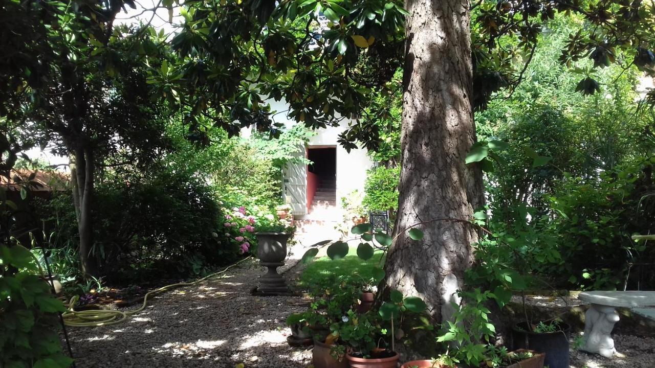 Bed and Breakfast Ombre Rose Le Fousseret Exterior foto