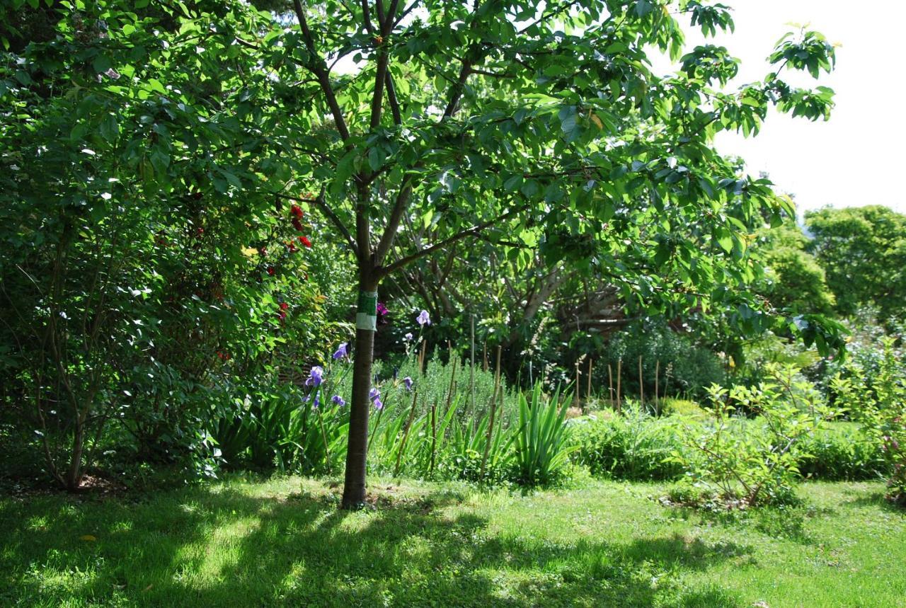 Bed and Breakfast Ombre Rose Le Fousseret Exterior foto